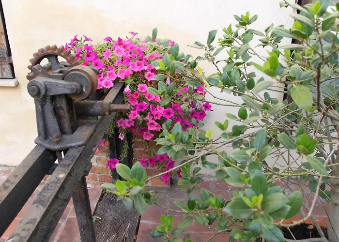 La Vecchia Cartiera