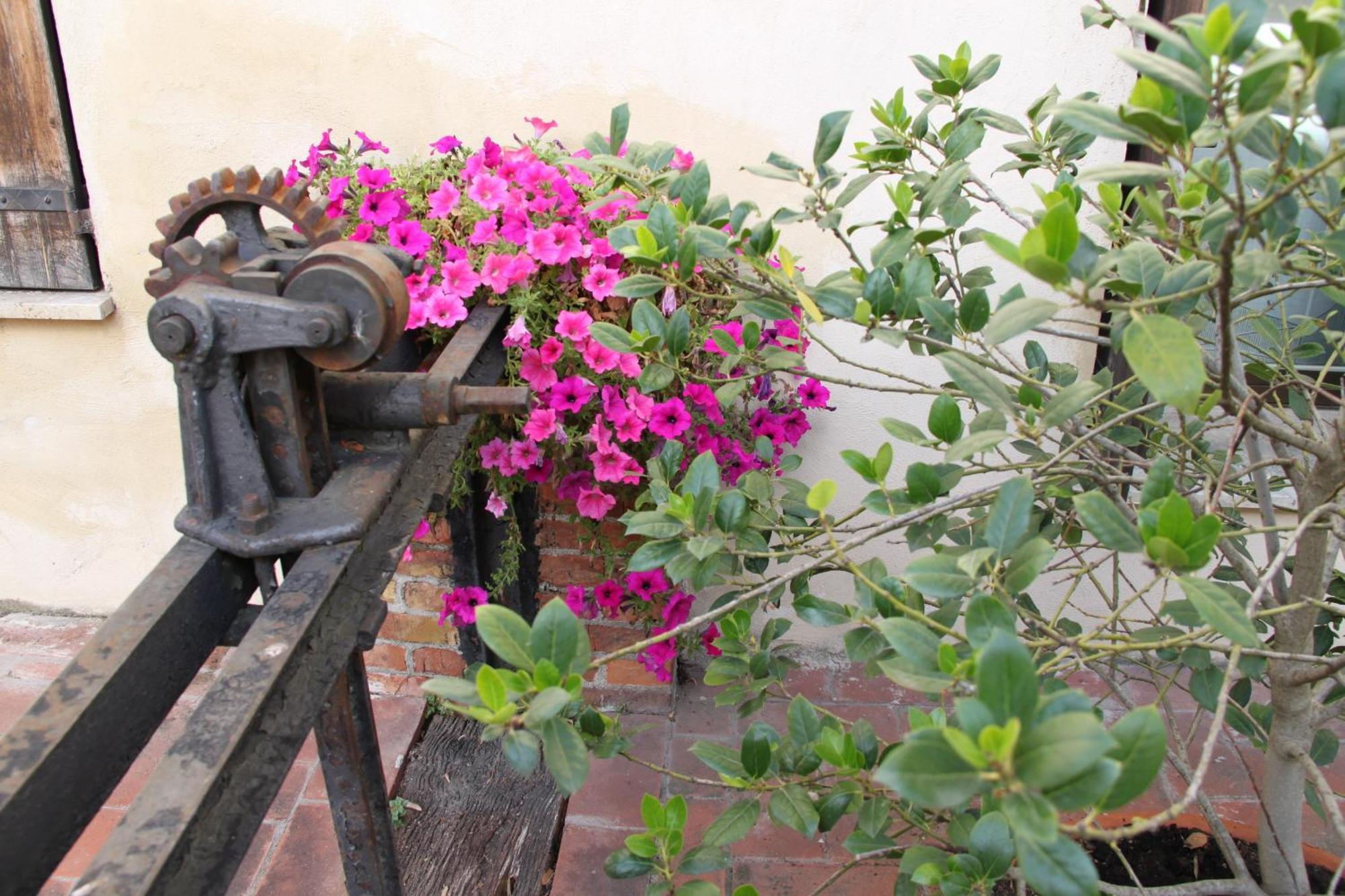 La Vecchia Cartiera Colle Val D'Elsa
